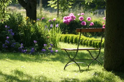 Garten Wohlfühl-Oase mit Bank